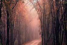 问鼎娱乐：自2016年以来，巴萨首次取得西甲九连胜.