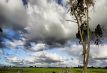 王钰栋独造2球被踩伤，拜合拉木拳击染红，奥斯卡24分钟连轰2球.