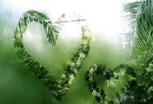 问鼎娱乐：[CBA]常规赛3月21日：上海VS北京 集锦.