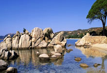 问鼎娱乐：辽鲁对决杨鸣怒怼技术台，邱彪与陶汉林争吵，指出球员缺乏自信心.